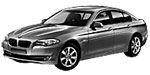 BMW F10 U207F Fault Code